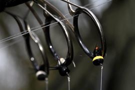 Carp Fishing
